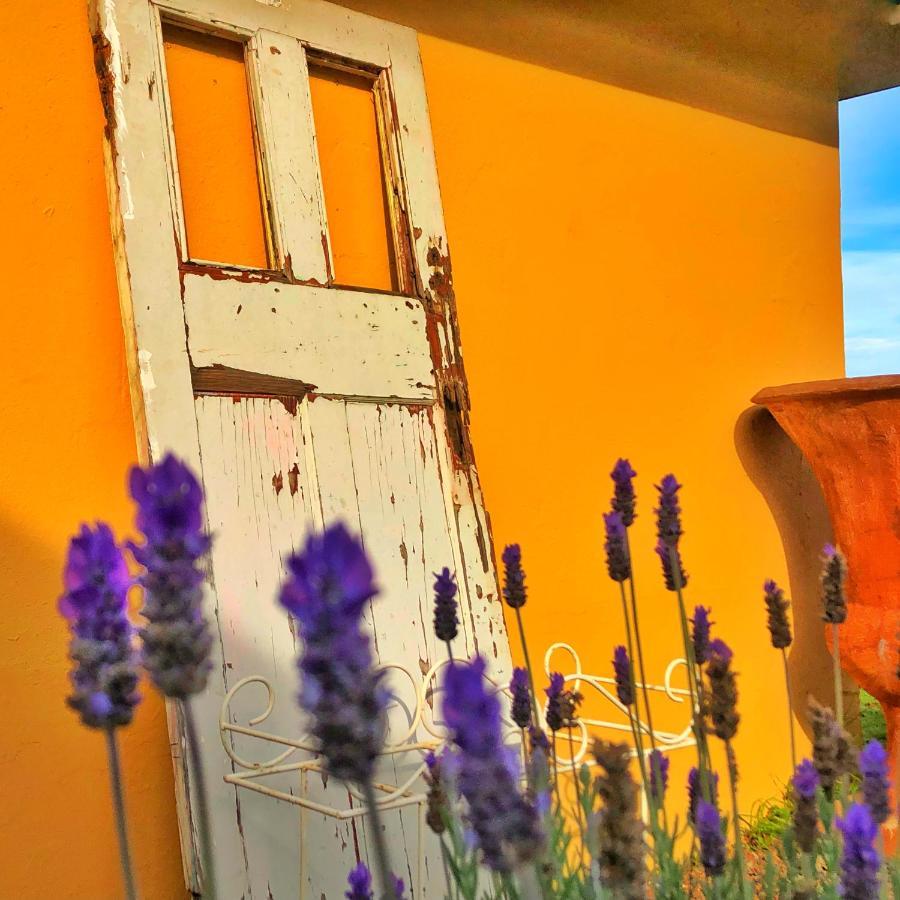 Loch Athlone Overnight Accommodation เบธเลเฮม ภายนอก รูปภาพ